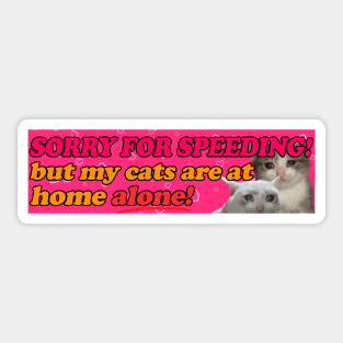 Sorry for speeding! But my cats are at home alone! Bumper Sticker or Magnet | Funny Sticker | Satire | Gen Z Humor Sticker